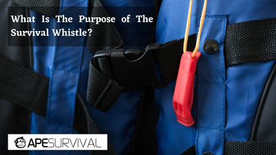What Is The Purpose of The Survival Whistle?