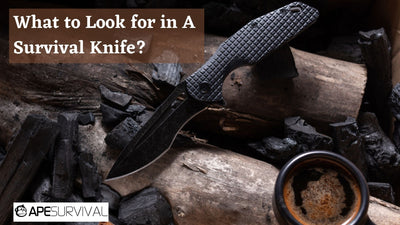 What to Look for in A Survival Knife?