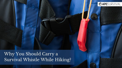 Why You Should Carry a Survival Whistle While Hiking?