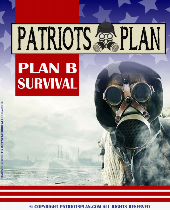 Patriots Plan Plan B Survival (eBook)