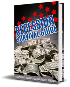 Recession Survival Guide (eBook)